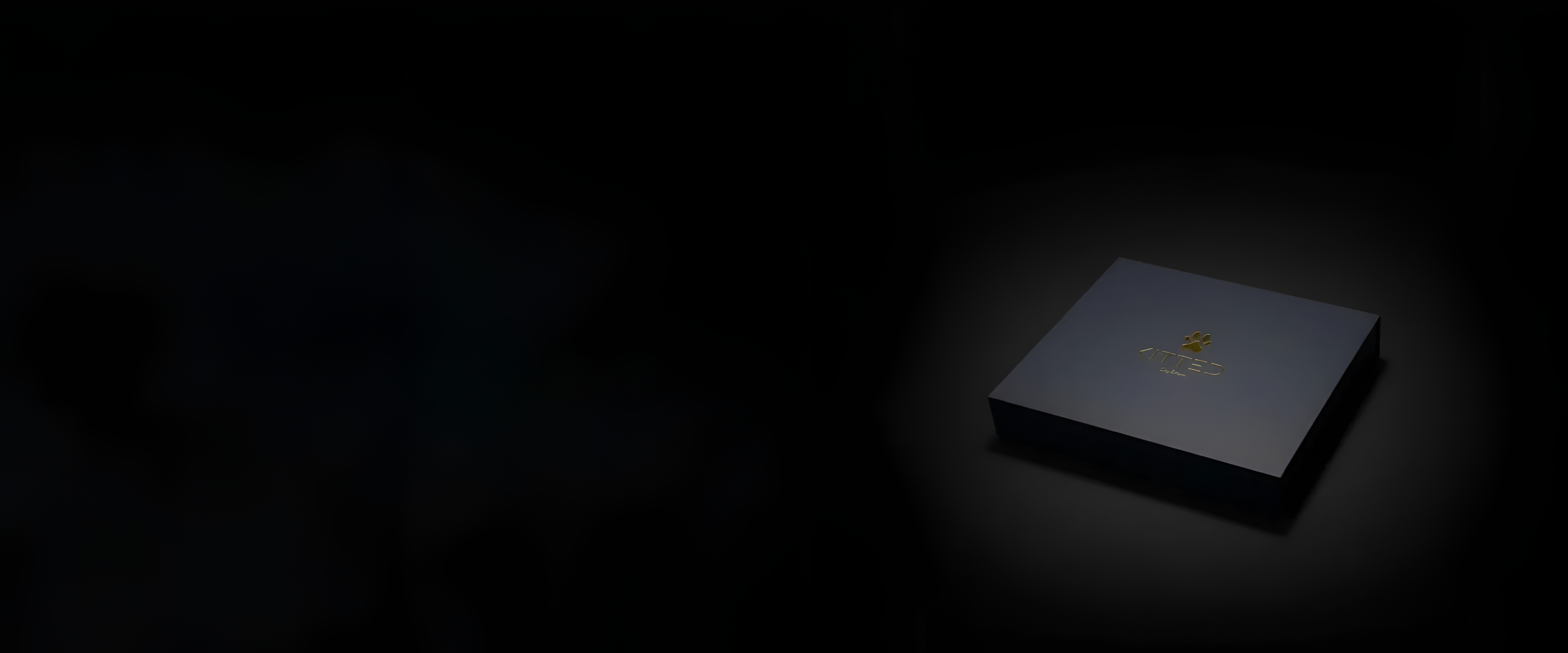 slider image 1621243260e1af0c20-2